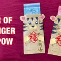 Chinese New Year DIY | Year of the TIGER money packet